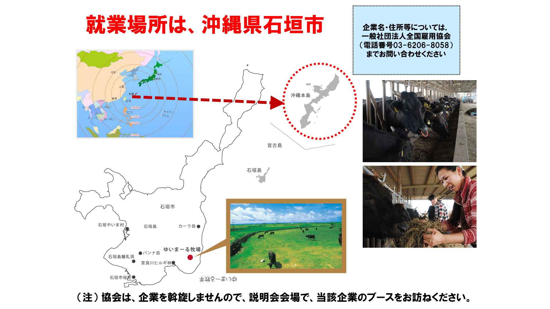仕事、バイト、正社員